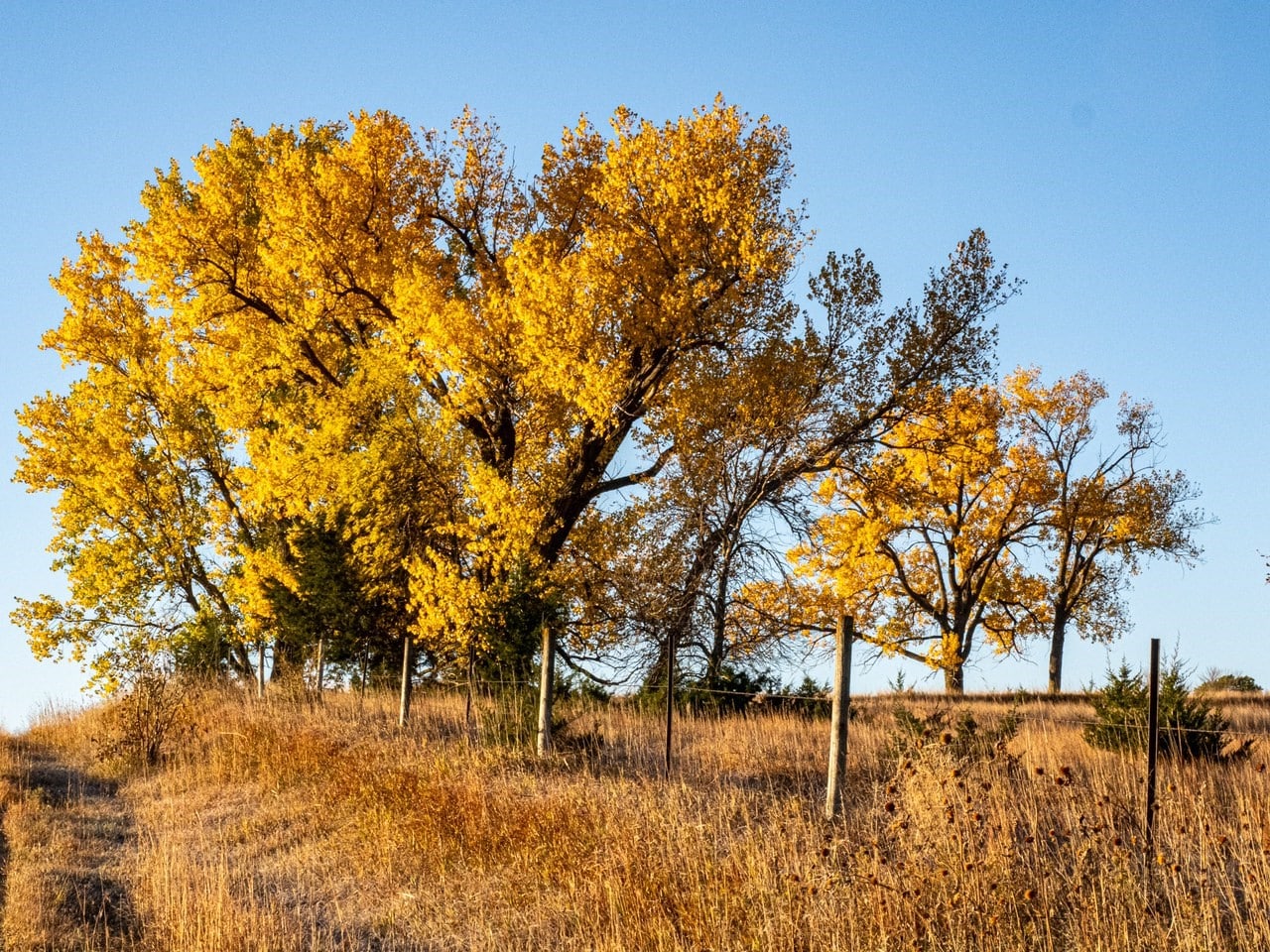 Nebraska fall folliage
