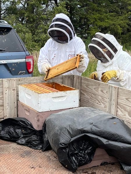 Harvesting the Honey