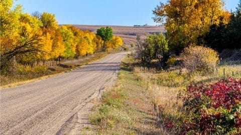 October beekeeping in Nebraska